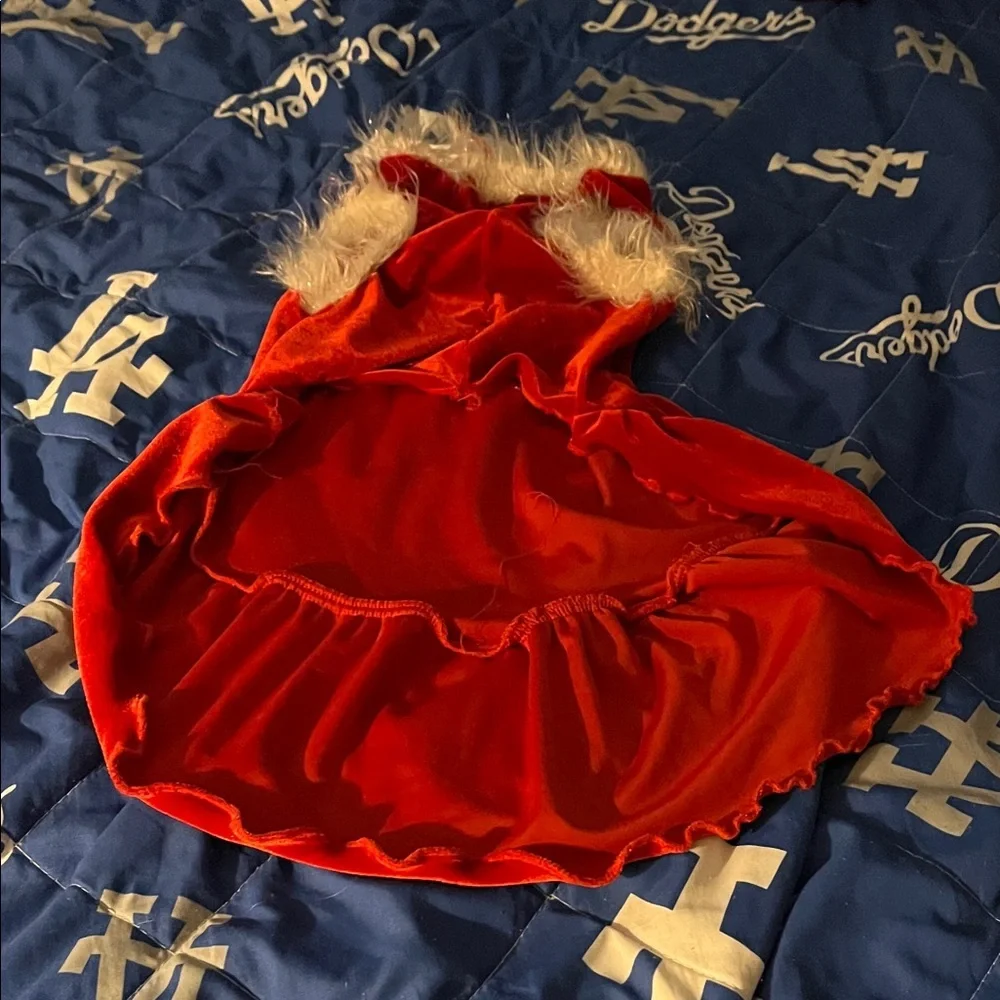 Charming Red Velvet Dog Dress with Fur Trim